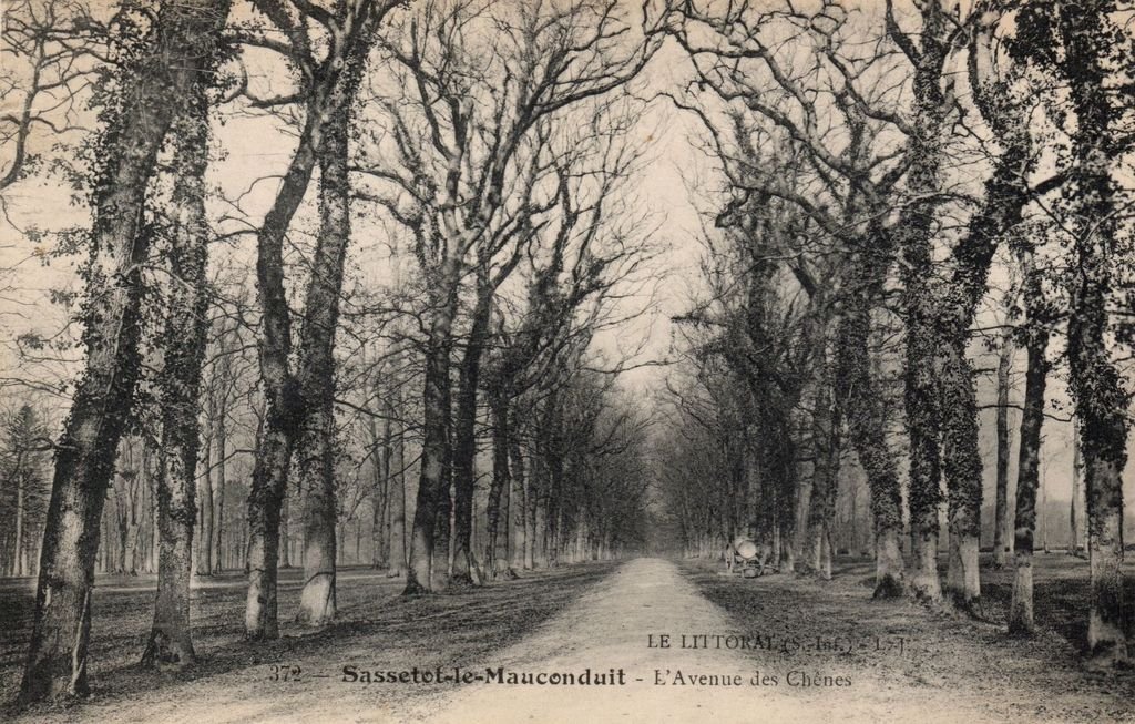 76 - SASSETOT-LE-MAUCONDUIT - 372 - L'Avenue des Chênes - L.J. - 04-08-26.jpg
