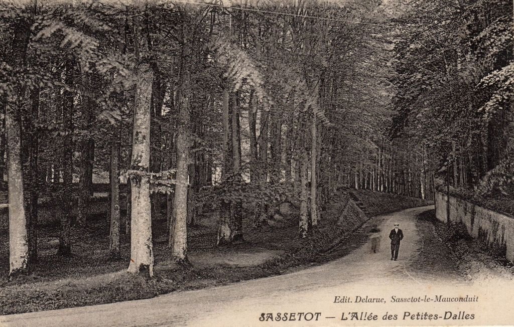 76 - SASSETOT-LE-M. - L'Allée des Petites-Dalles - Edit. Delarue, Sassetot - 04-08-26.jpg