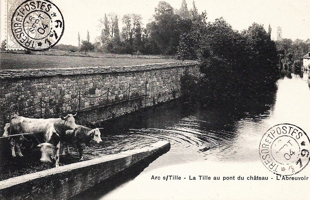 Arc surTille 21.jpg