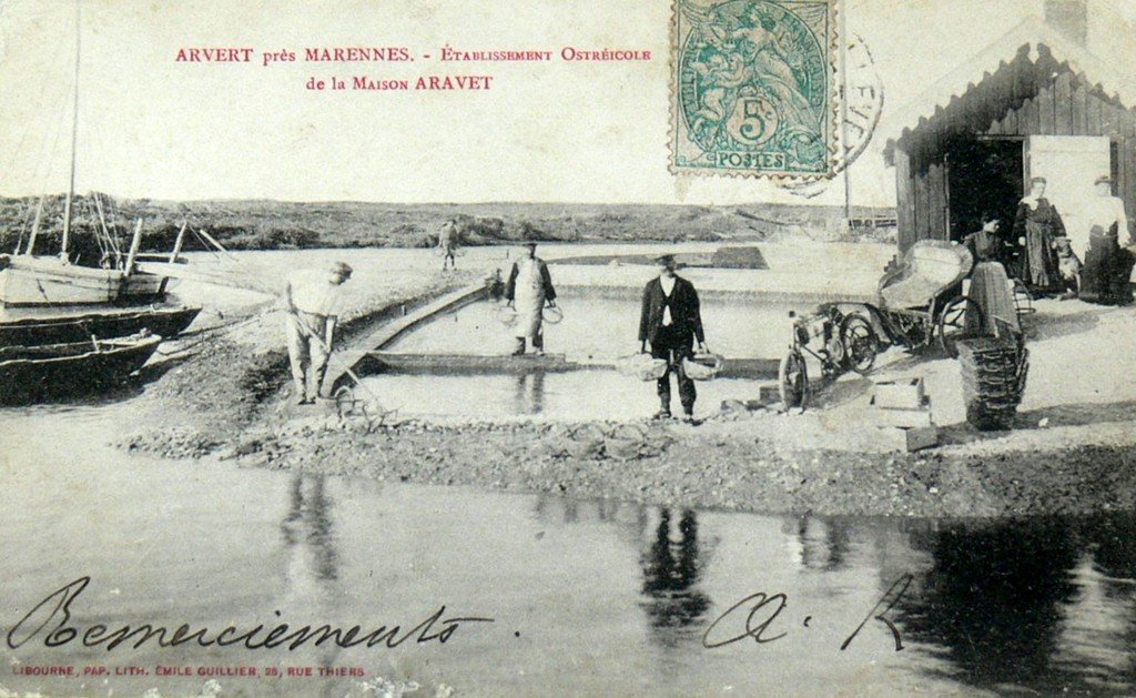 Arvert 17.jpg