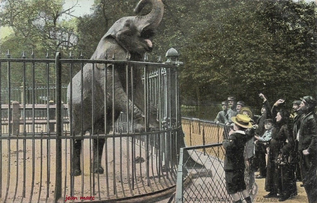Jardin des Plantes - L'éléphant.jpg