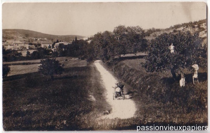 Village et arbres [F].JPG