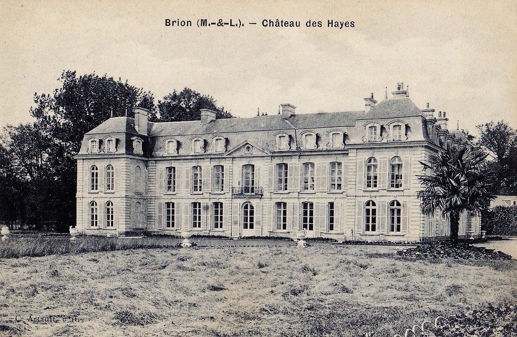 Brion 49.jpg