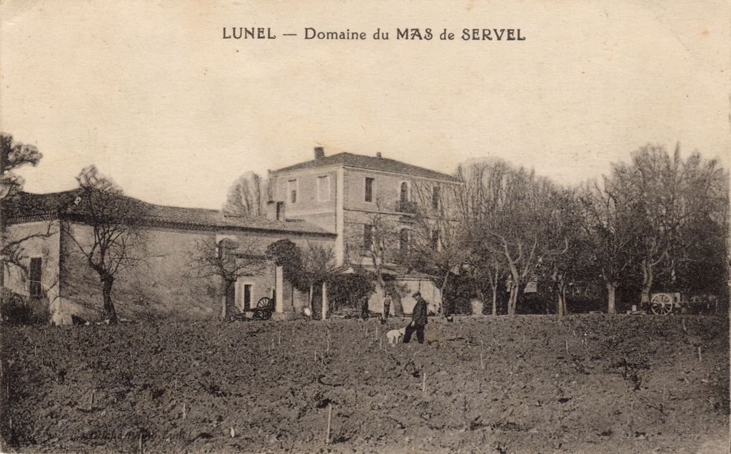 34 - LUNEL - Domaine du Mas de Servel - ENP - 17-08-26.jpg