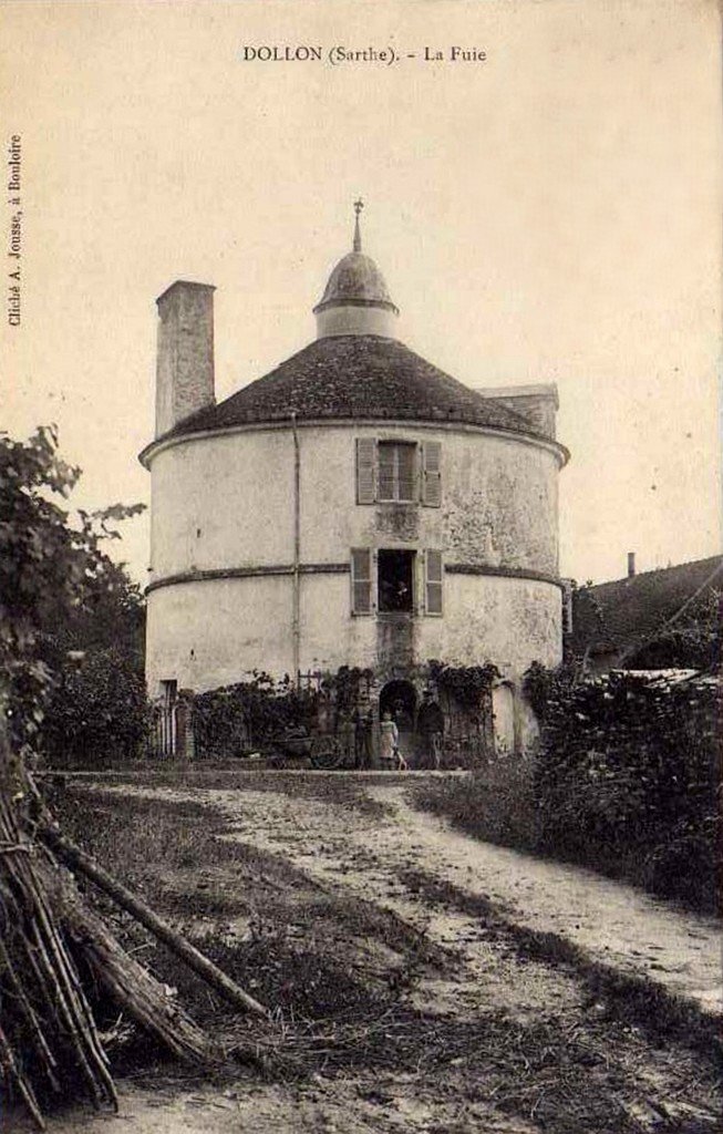 Dollon 72.jpg