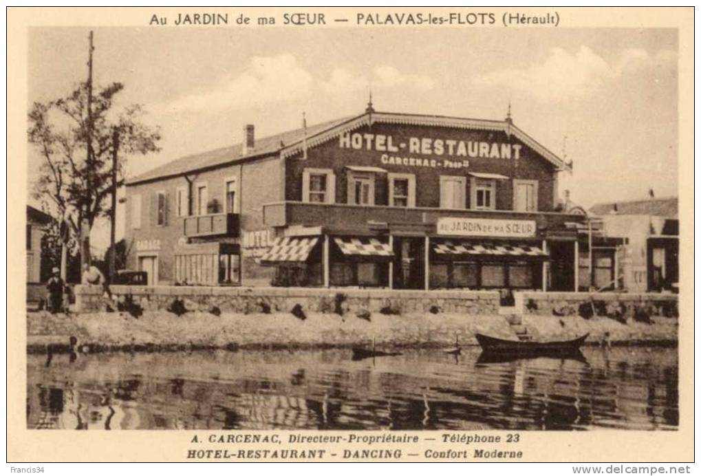 pava1.jpg