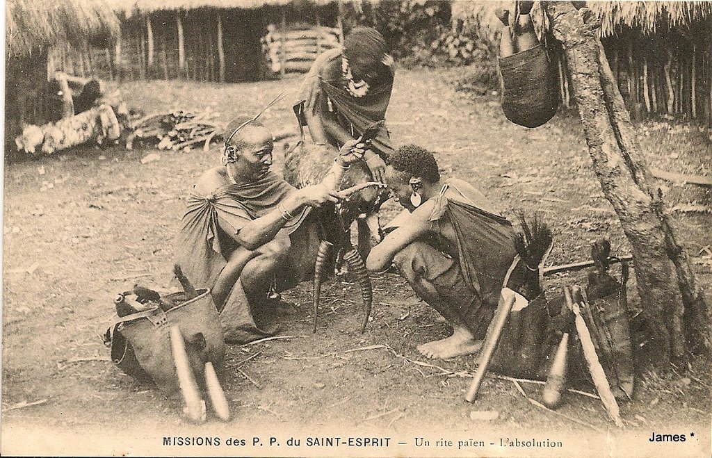 pas voyagée