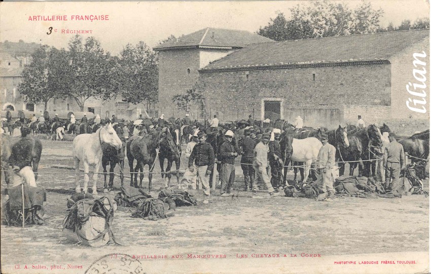 &quot;ARTILLERIE FRANÇAISE&quot; - &quot;  ° Régiment&quot; - &quot;77. - Artillerie aux Manoeuvres - Les Chevaux a la Corde&quot; - &quot;Cl. A. Salles, phot., Nîmes&quot; - &quot;PHOTOTYPIE LABOUCHE FRÈRES TOULOUSE&quot;