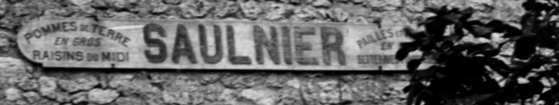 Saulnier pommes de terre detail [F].JPG