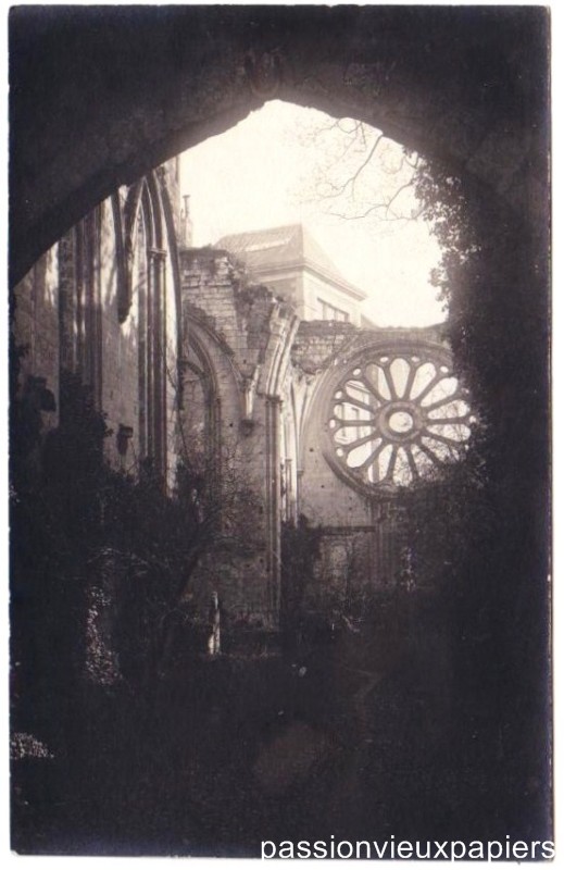 Ruines Abbaye  2 - Copie [F].JPG