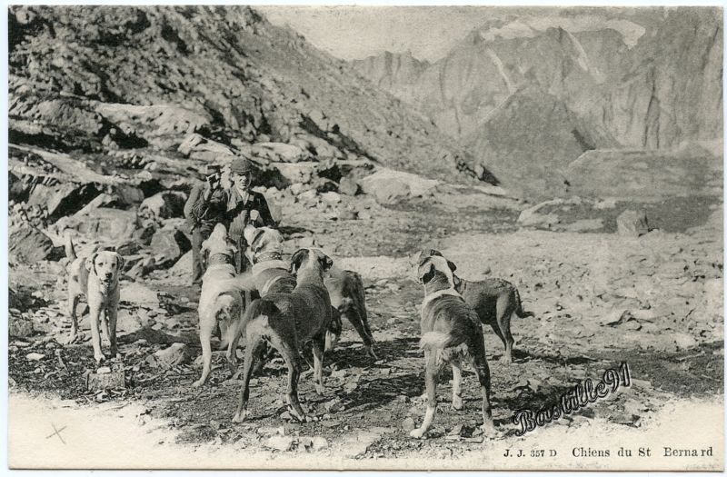 site369.jpg