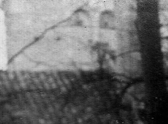 Place arbres detail4.JPG