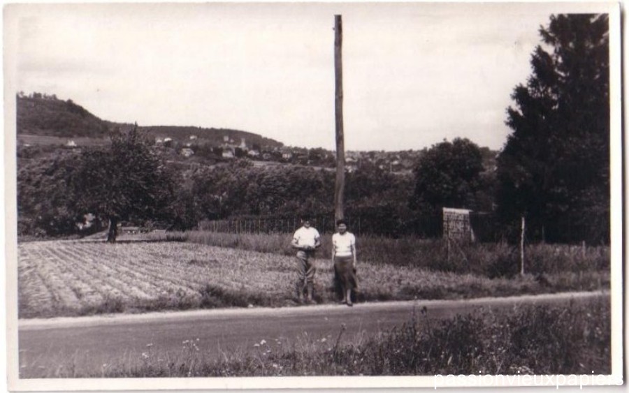 Bord de route Collines [F].JPG