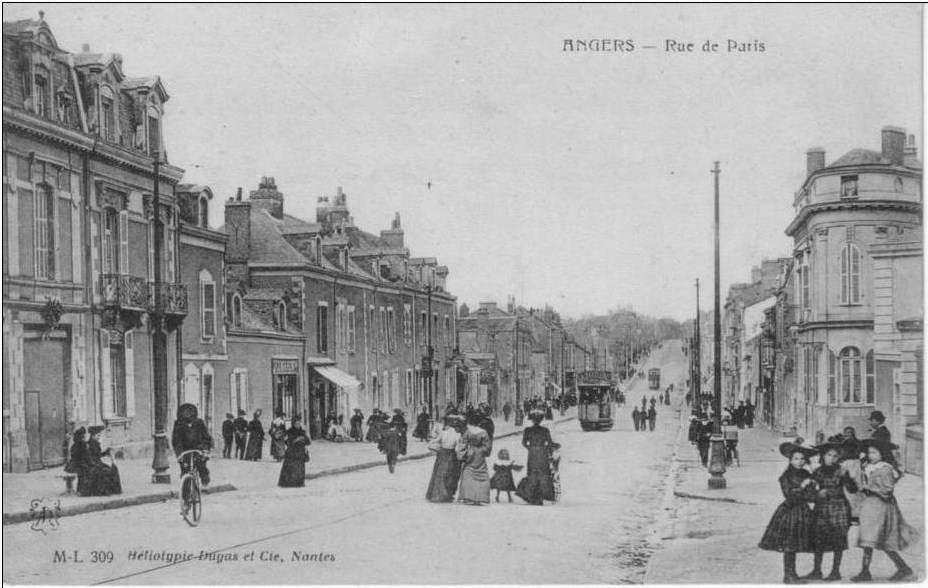 49 Angers  Rue de Paris Tramway.jpg