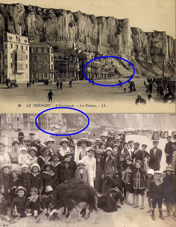 Le Tréport-Bout de la plage -chevres.jpg