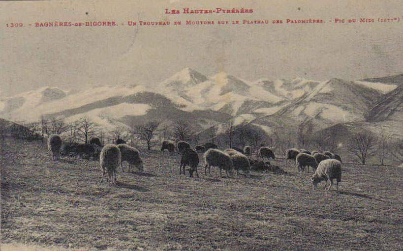 1309 bagneres.jpg