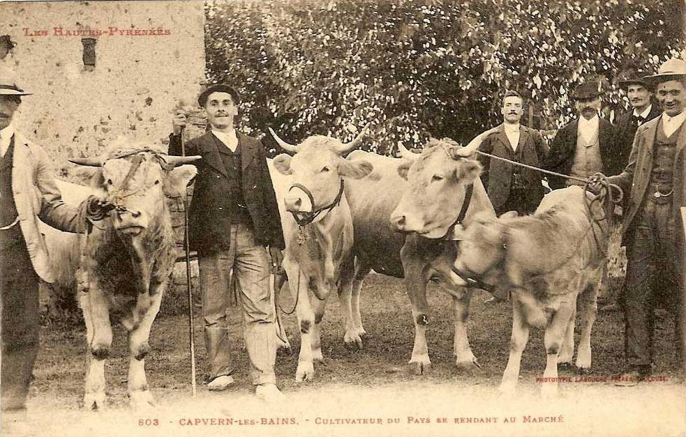 803 capvern retour de foire.jpg