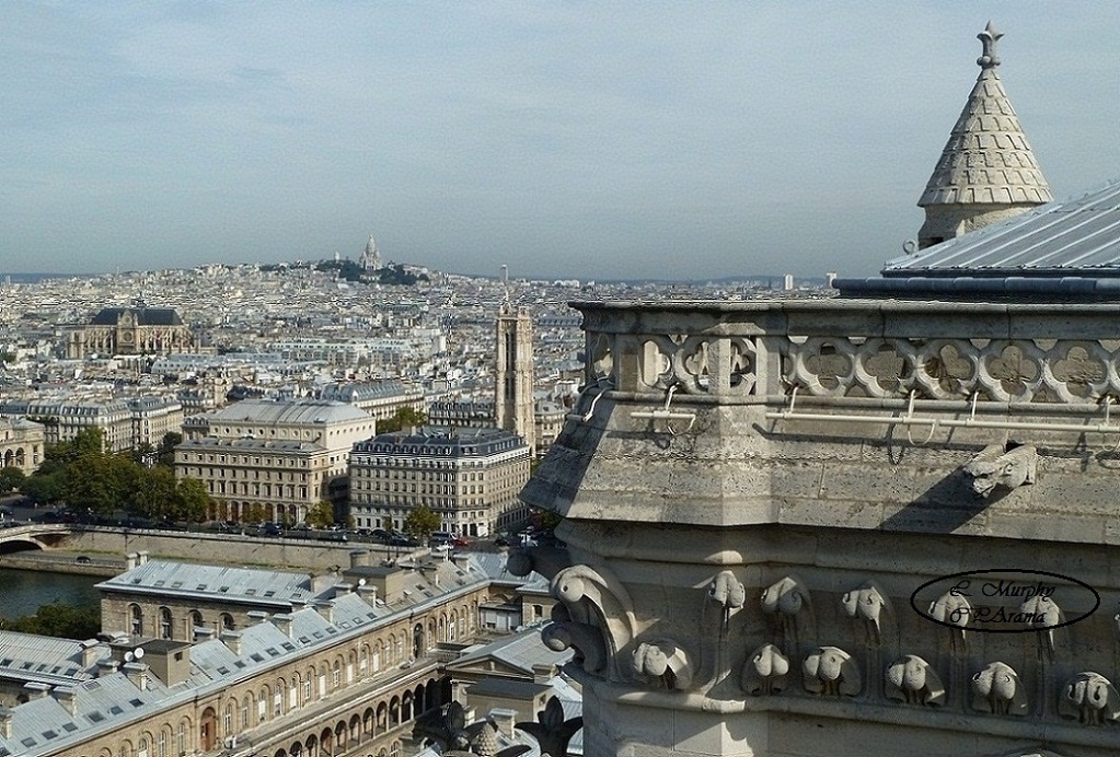 Vue sur Sacré Coeur prise des Tours de ND en 2011 CPArama.jpg