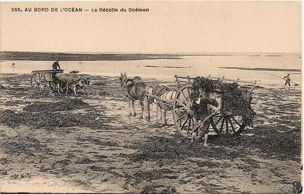 numérisation0144.jpg