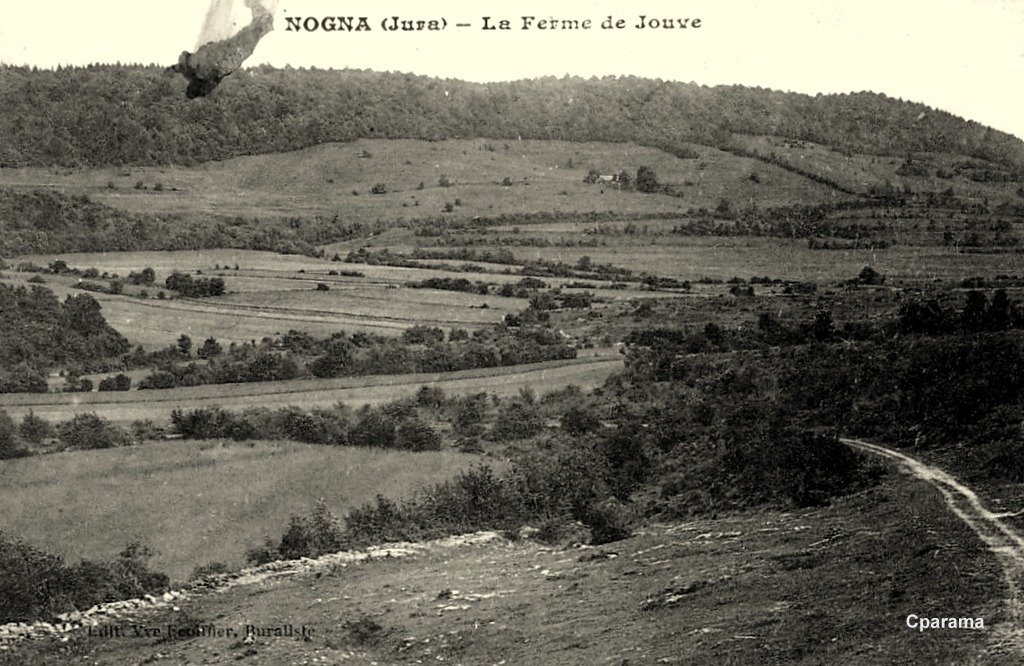 Nogna 39.jpg