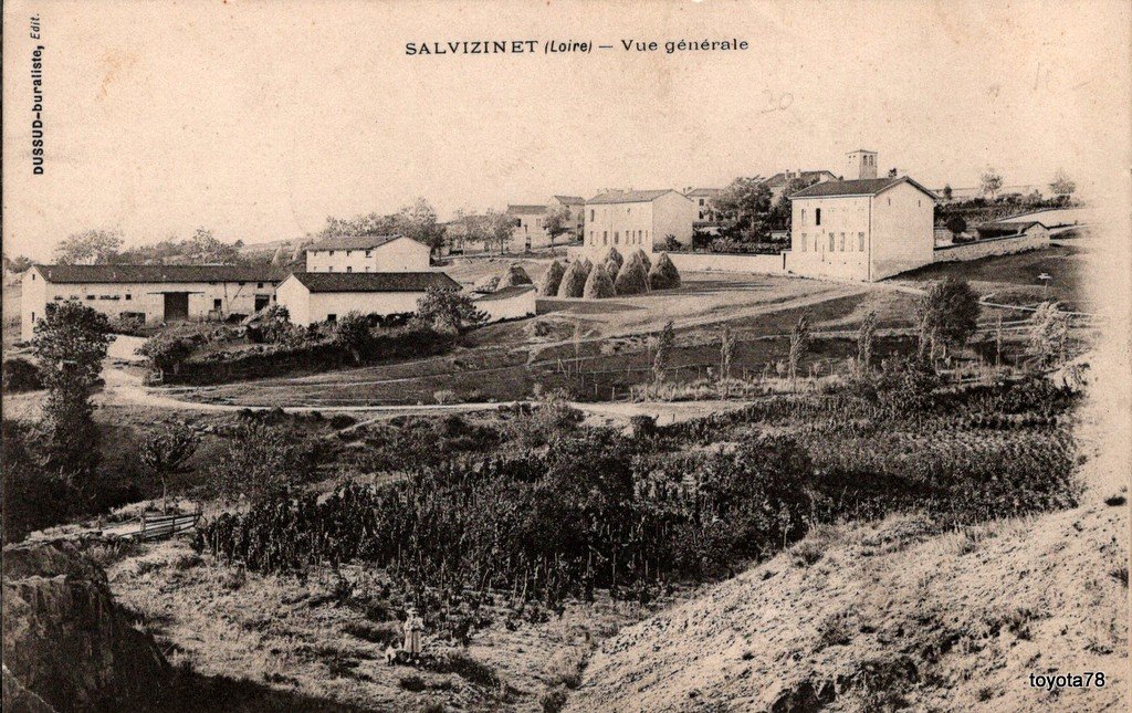 salvizinet.jpg