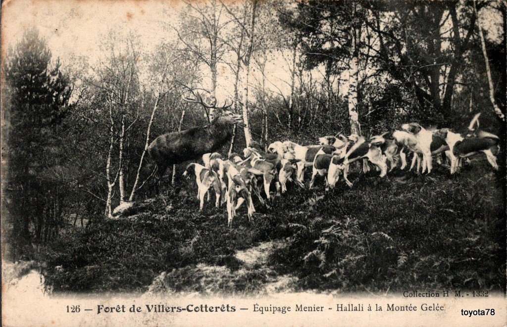 Villersècotterets.jpg