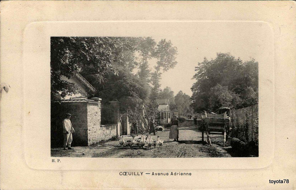 coeilly - avenue adrienne.jpg