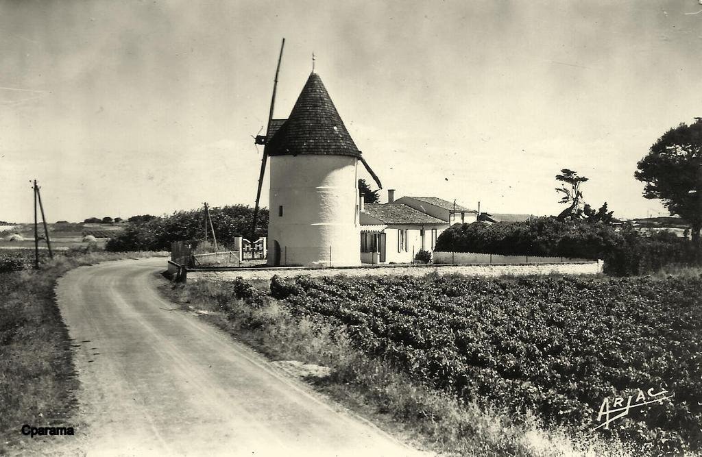 Ile d'Oléron (17) 321.jpg