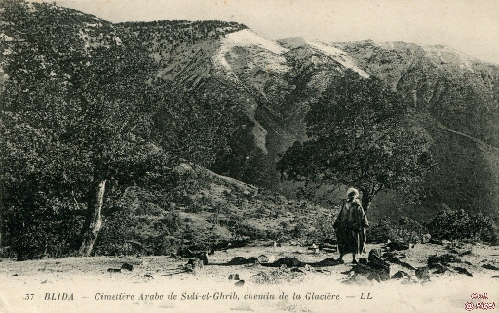 99-Algerie-Blida-Cimetiere.jpg