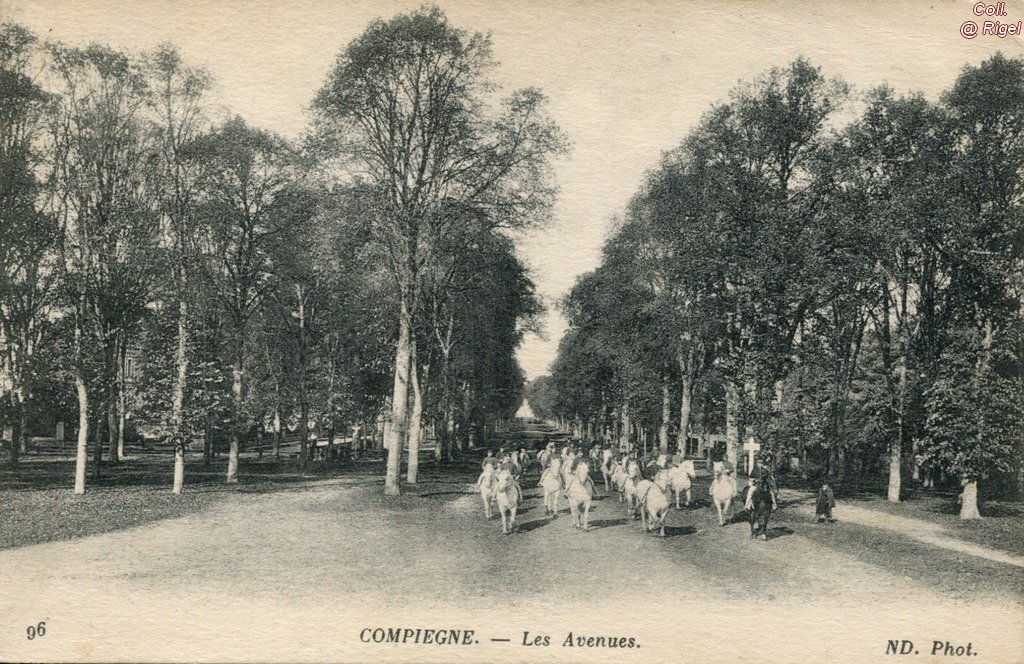 60-Compiegne-Les-Avenues.jpg