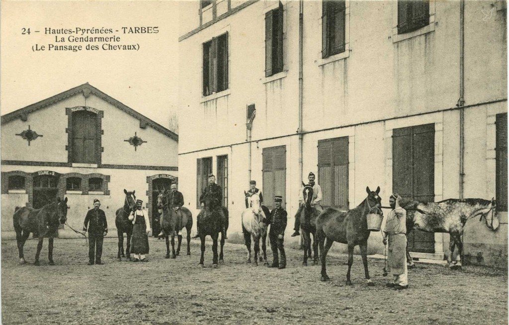 Z - 24 - Pansage des Chevaux.jpg