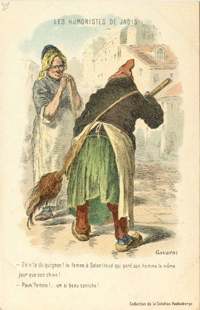 Z - Le caniche.jpg