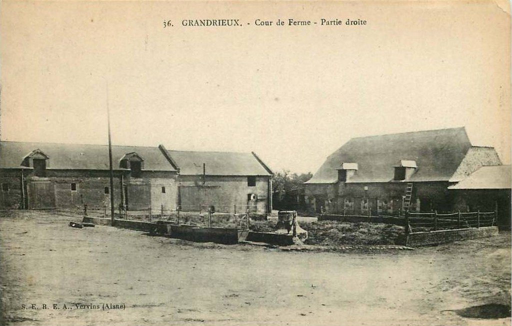 Z - Grandrieux.jpg