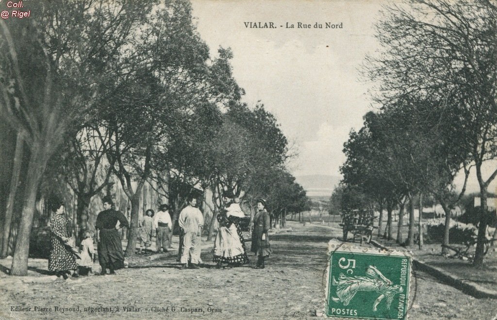 Algerie-Vialar-La-Rue-du-Nord-Editeur-Pierre-Reynoud-Negociant-Cliche-G-Gaspari.jpg