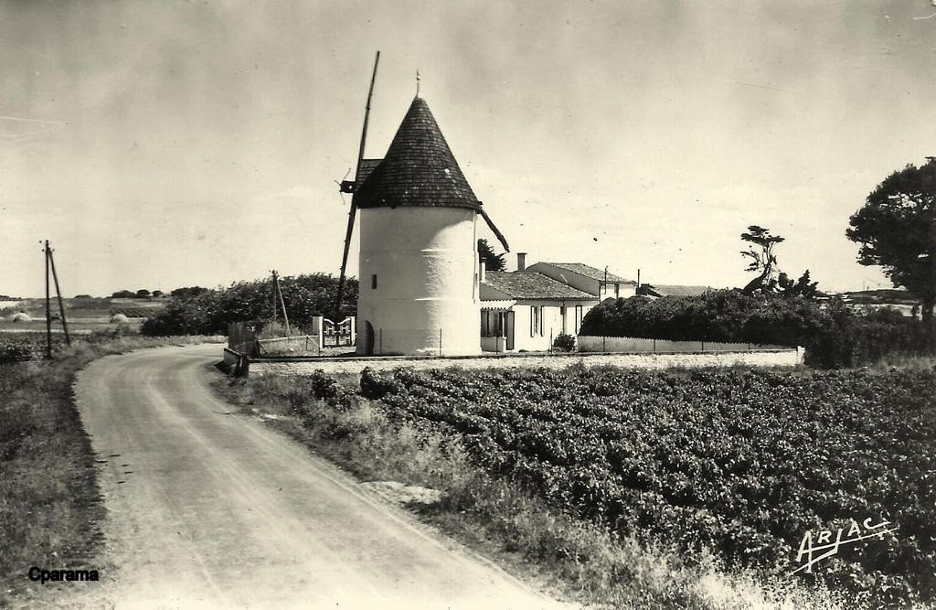 Moulin-Ile d'Oléron (17) 321.jpg