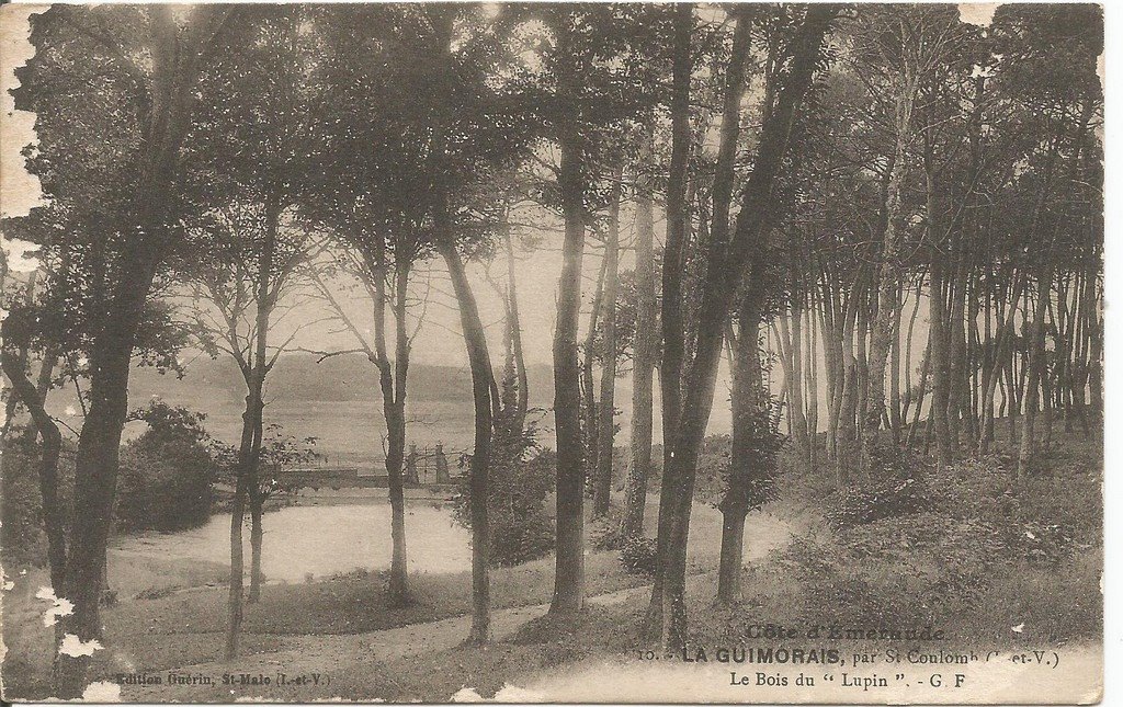 Saint-Coulomb (35) 10.jpg