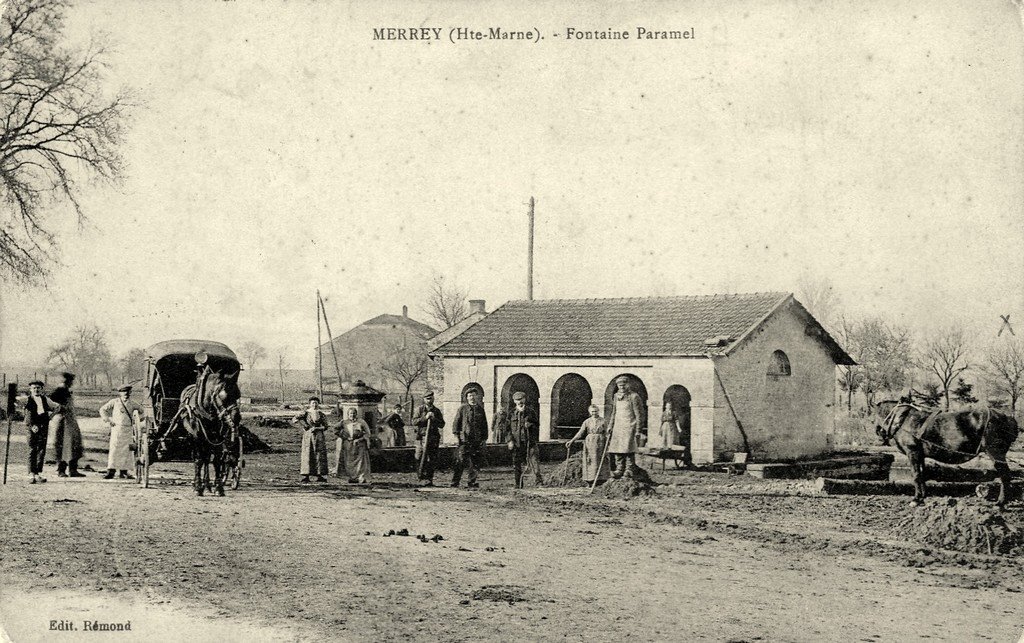 Merrey (52).jpg