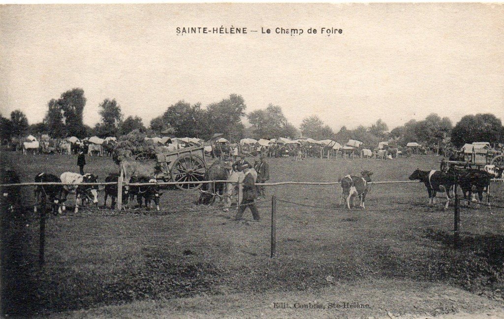 Sainte-Hélène (33).jpg