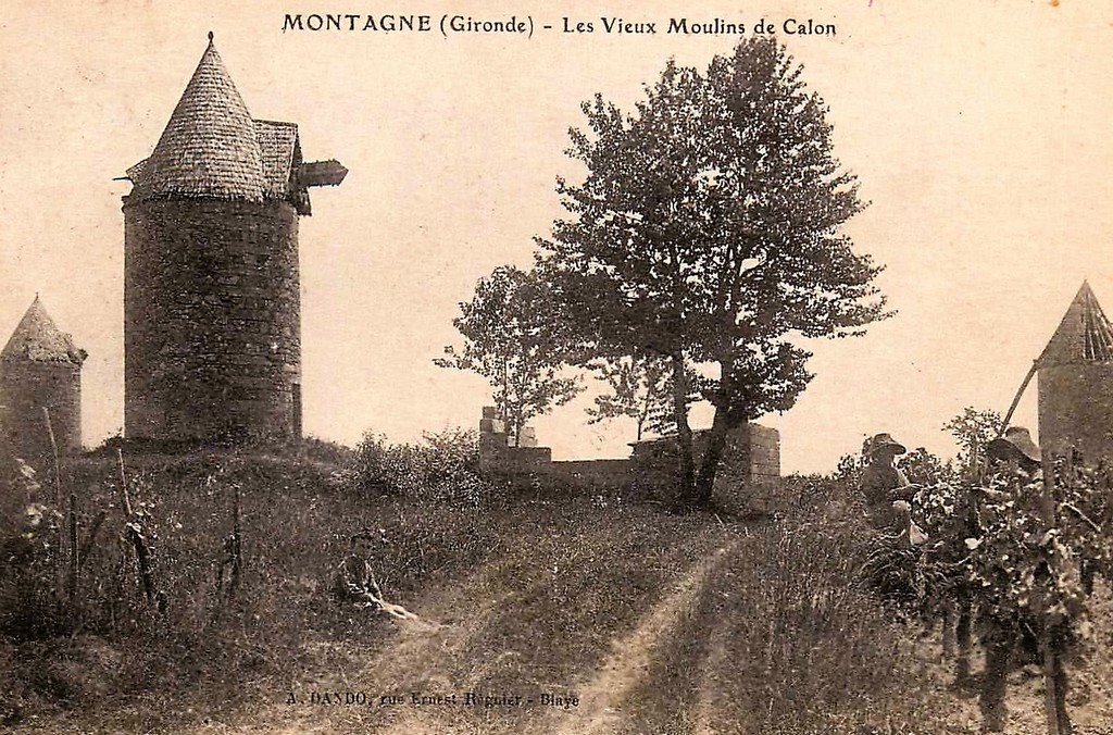 Montagne (33).jpg