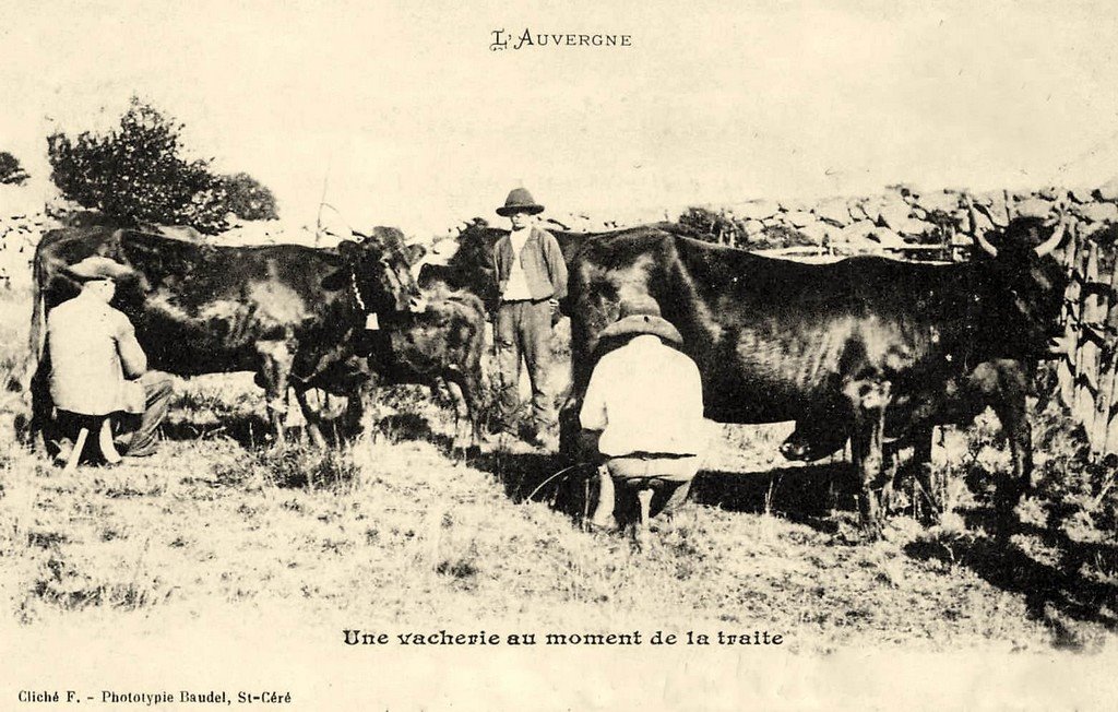 Carte N.L. (63) Auvergne.jpg