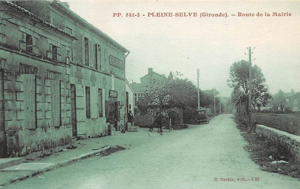 Pleine-Selve (33).jpg
