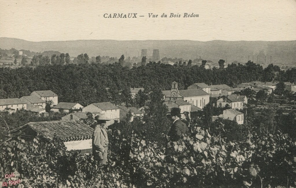 81-Carmaux-Vue-du-Bois-Redon.jpg