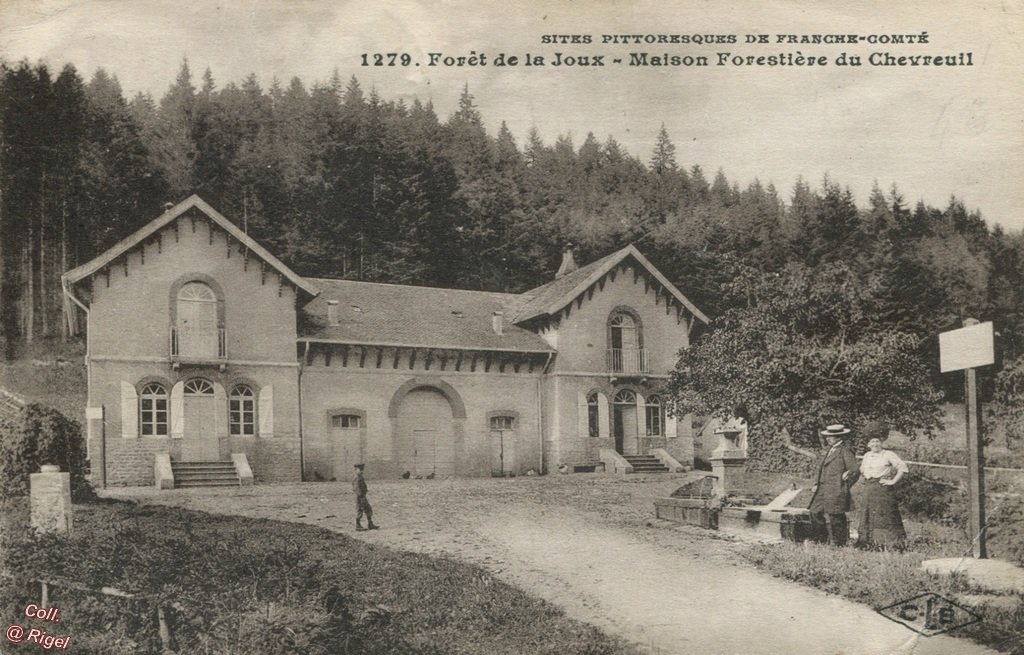 39-Foret-Joux-Maison-Forestiere-1279-CLB.jpg