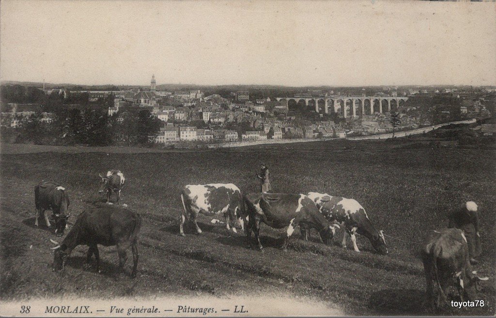 Morlaix-vue générale paturages.jpg