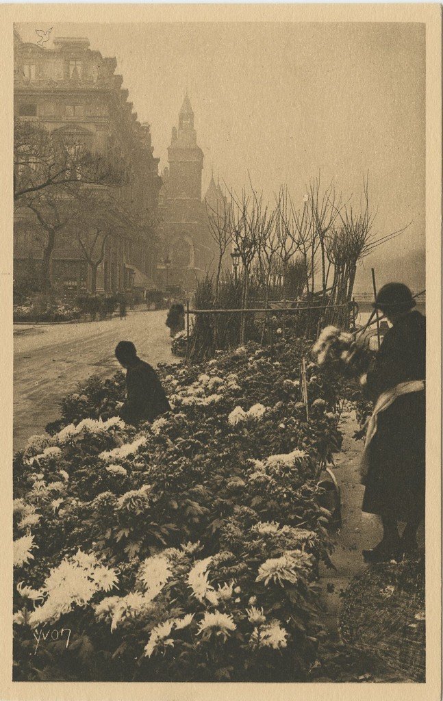 Z - YVON 218 - Paris - Le Quai aux fleurs.jpg