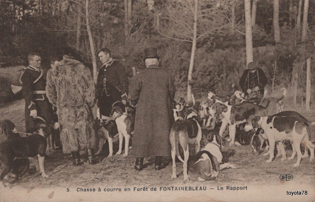 Chasse Fontainebleau.jpg