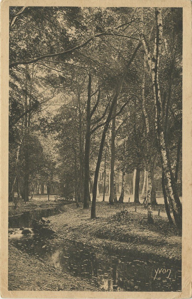 Z - YVON 252 - Paris - Un coin du Bois de Boulogne.jpg