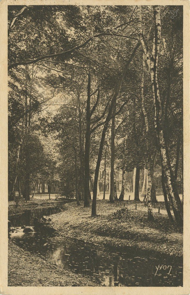 Z - YVON 19 - Paris - Un coin du Bois de Boulogne.jpg