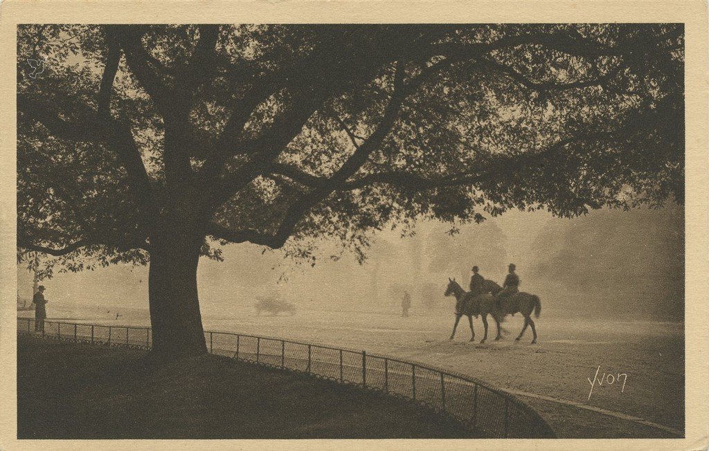 Z - YVON 162 - Paris - L'Avenue du Bois de Boulogne.jpg