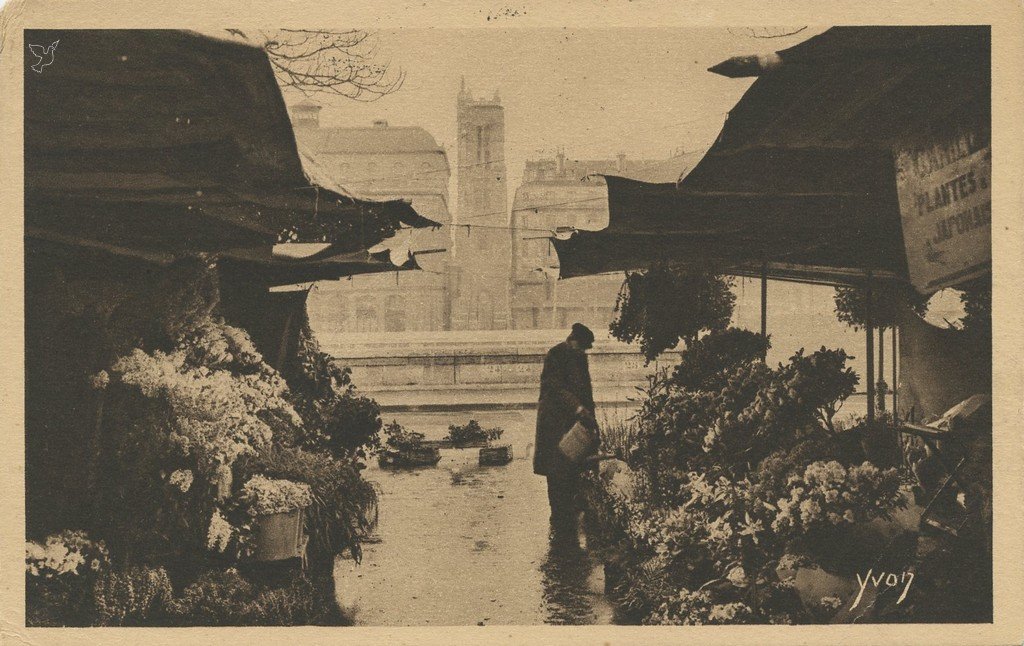 Z - YVON 144 - Paris - Le Marché aux Fleurs - Dans le fond la Tour St-Jacques.jpg